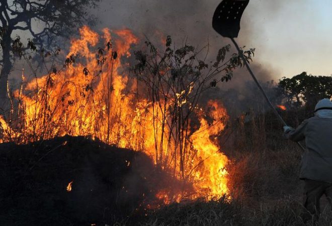 incendios_florestais