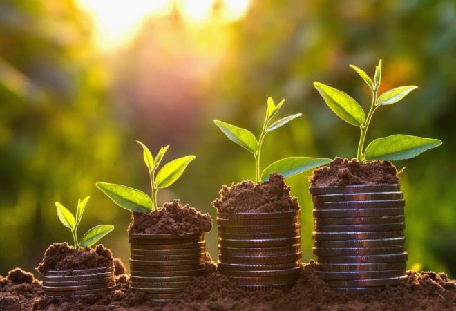 investimento