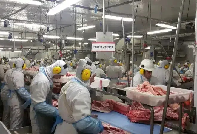 jbs seara suinos itapiranga