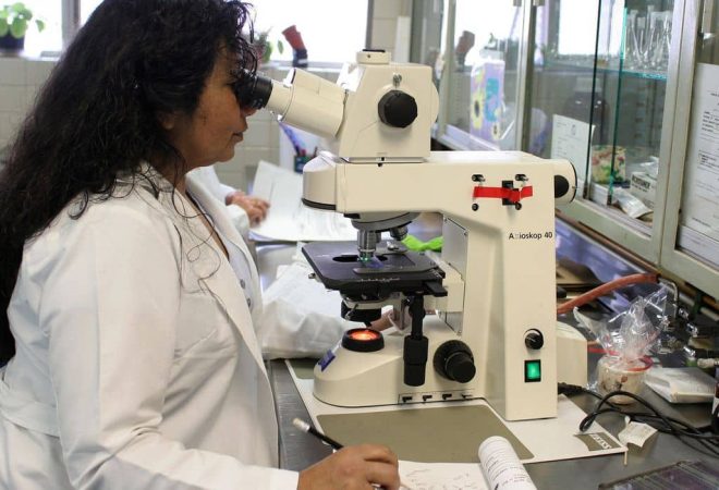 29/06/2023 - Mulheres Cientistas. Foto: ernestoeslava/Pixabay