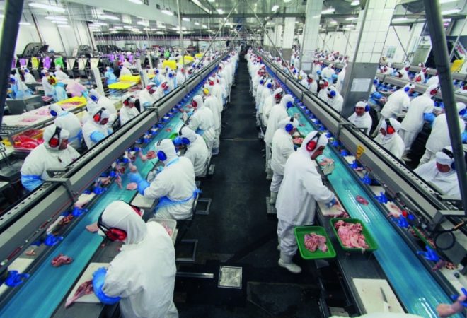 producao de frango BRF
revista dinheiro rural ed 132
foto divulgacao