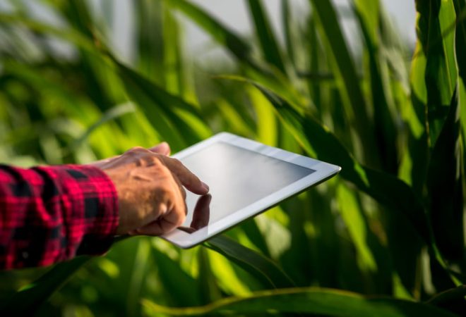 marketplace-agro-imagem-freepik