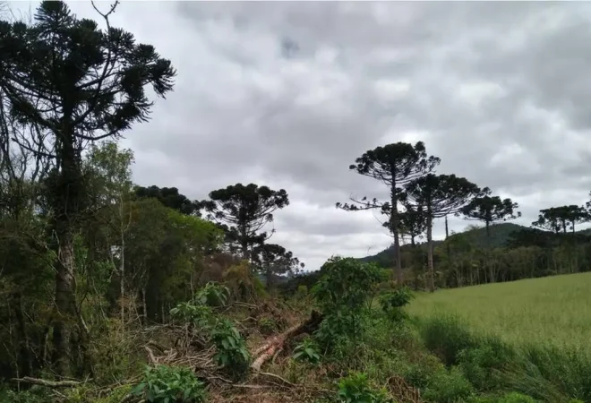 mataatlanciaempe28093