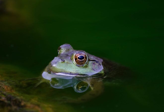 matthew-kosloski-sfN_Fzn0lxc-unsplash