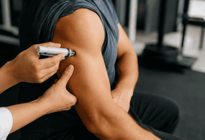 musculo_optimized_300