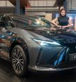 nancy serapião lexus