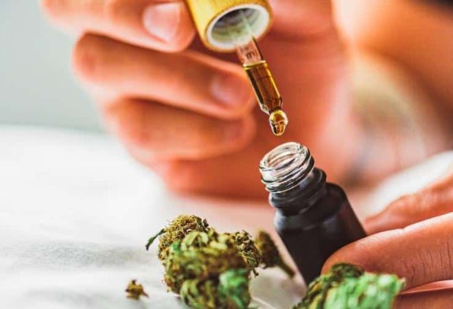 oleo-de-maconha-cannabis-canabidiol-thc-canabinoide-medicinal-1646682278924_v2_900x506