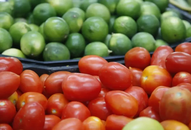 organicos_1