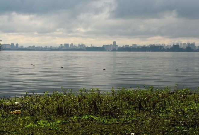 São Paulo - 11ª edição do simbólico da represa Guarapiranga com o tema Água limpa e saneamento é saúde. Exija, pratique! marca o Dia Mundial do Meio Ambiente, comemorado hoje, 5 de junho (Rovena Rosa/Agência Brasil)