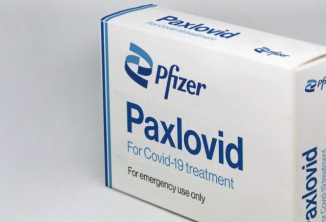 Paxlovid divulgação