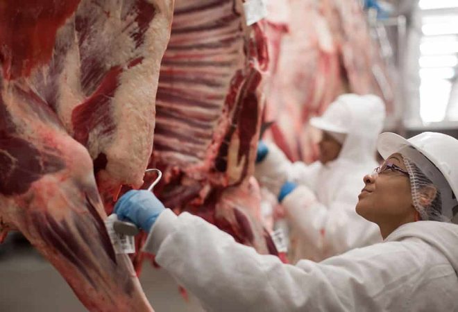 pecuaria_carne_bovina_frigorifico