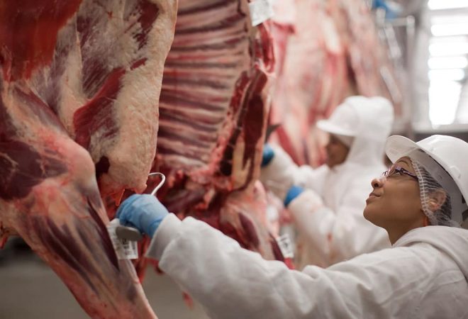 pecuaria_carne_bovina_frigorifico