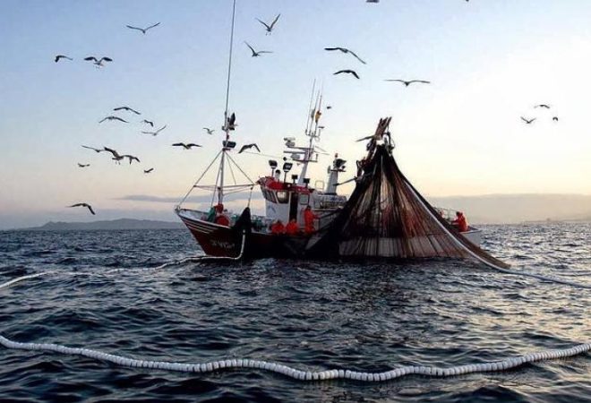 pesca tainha2