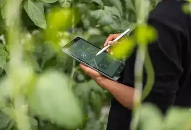 pessoa-trabalha-no-campo-agronegocio-com-tablet