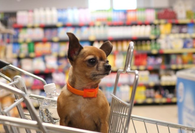 pets-em-supermercados