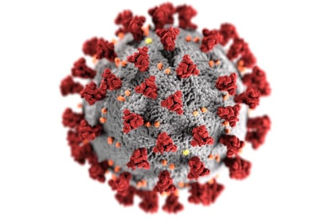 coronavirus covid pandemia