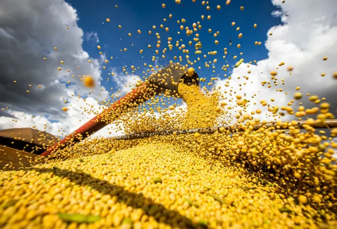 produção agriculo soja