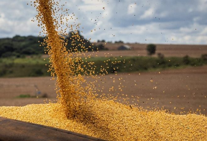producao-de-soja-em-mato-grosso-na-safra-20222023-deve-ser-recorde-162151