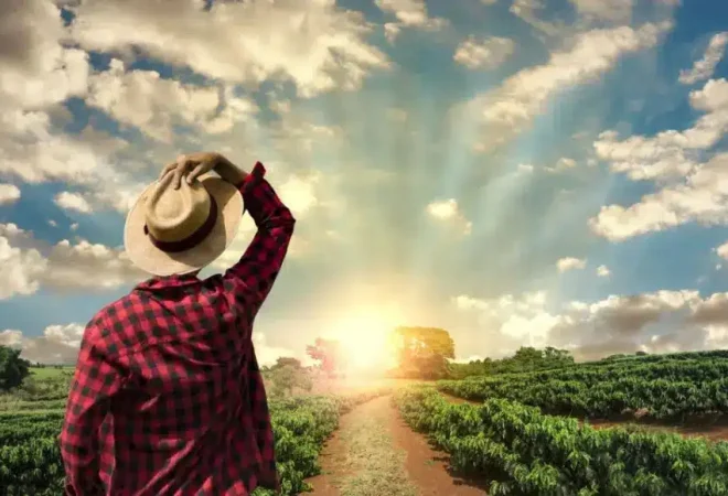 produtor-rural-olhando-para-o-campo-1130x580