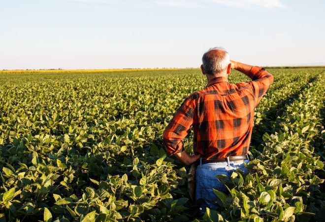 produtor_rural