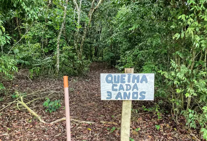 queimada laboratório