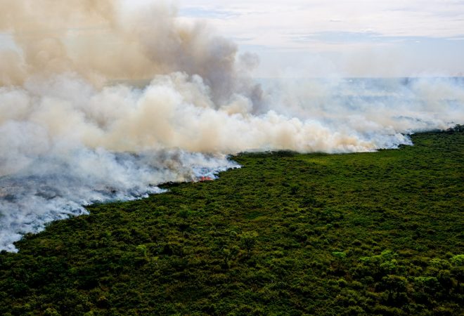 queimadas pantanal 2020_3
