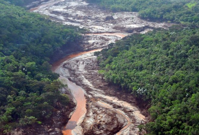 Reflorestamento de áreas atingidas em Mariana