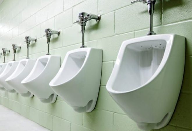 A row of urinals