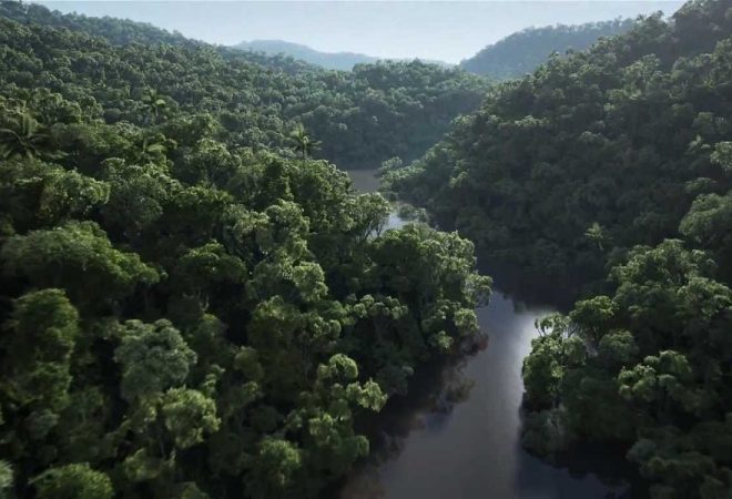 floresta tropical