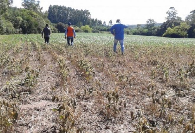 seca-rio-grande-do-sul-foto-defesa-civil