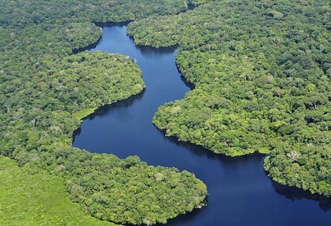 selva-del-amazonas