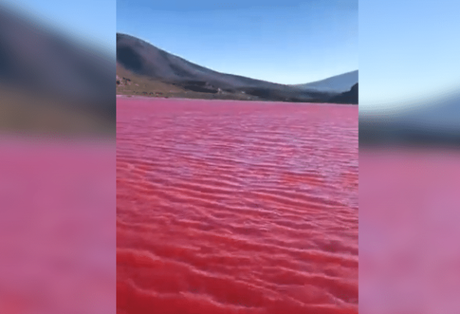 sera-que-agua-do-rio-nilo-ficou-mesmo-vermelha-video-viralizou-na-web-1-800x467