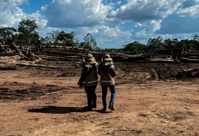 serrarias clandestinas fechadas