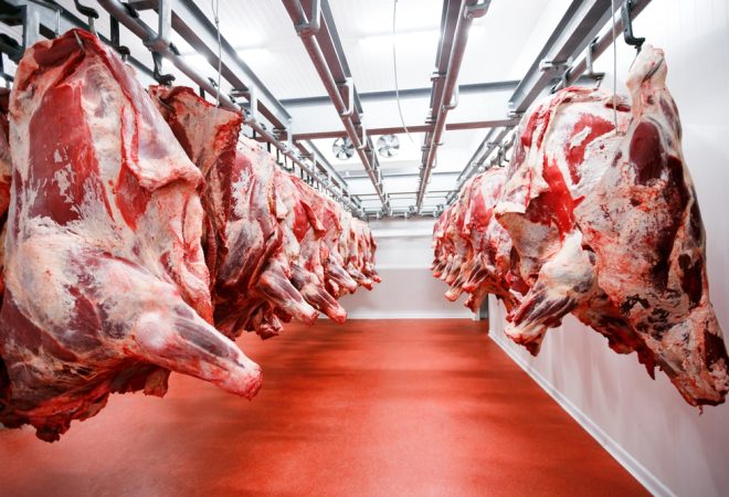 carne bovina