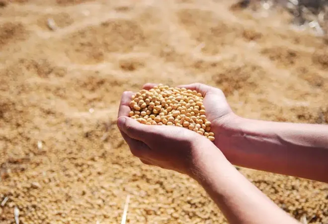 soja caramuru alimentos