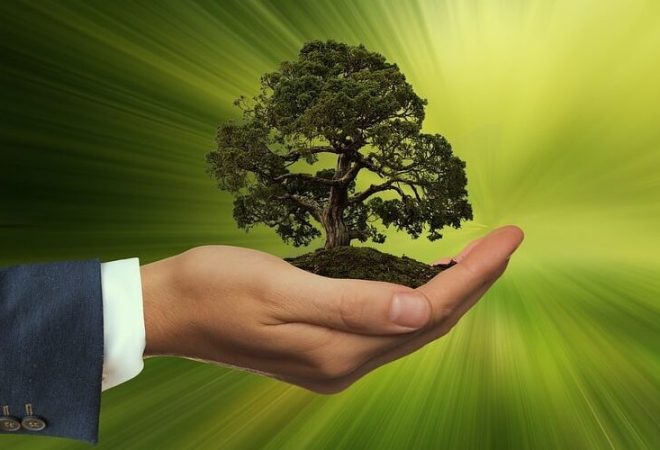 sustainability-3303398_1280