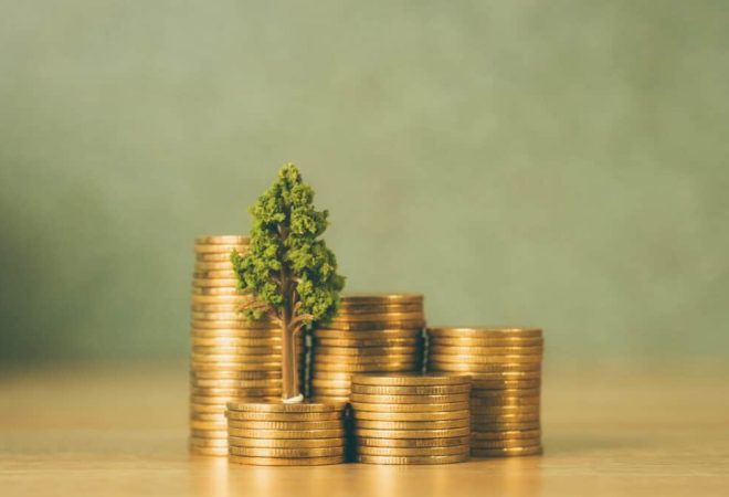 sustentabilidade-economica-brasil