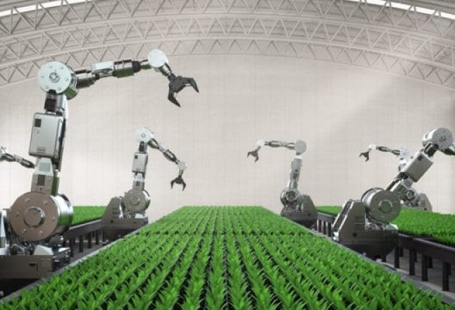 Agriculture technology concept with 3d rendering robotic arm inÂ  greenhouse