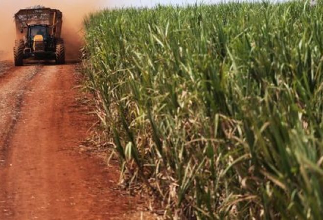 Trator transporta cana-de-açúcar em Ribeirão Preto, no Estado de São Paulo
