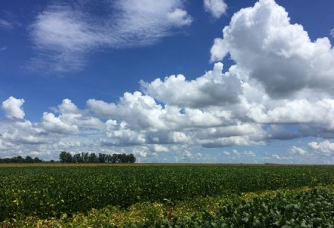 Lavoura de soja em São Desidério, no Estado da Bahia