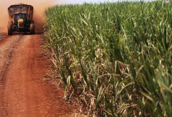 Trator carrega cana de açúcar em plantanção em Ribeirão Preto, São Paulo, Brasil
