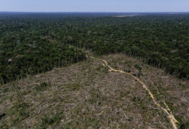 Visão aérea de área desmatada em Apuí, Amazonas