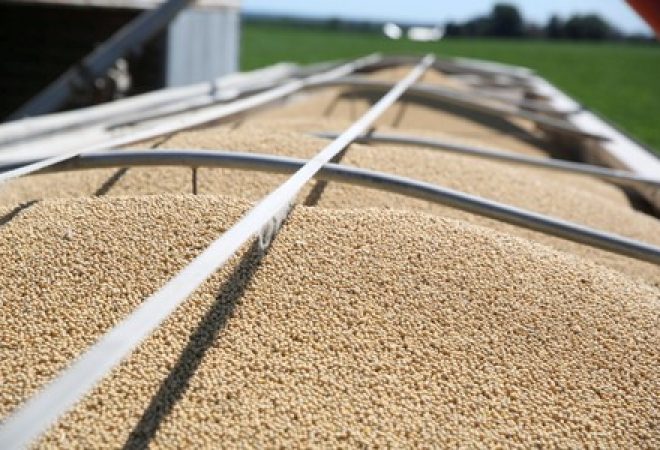 Produção de soja em Illinois, nos EUA