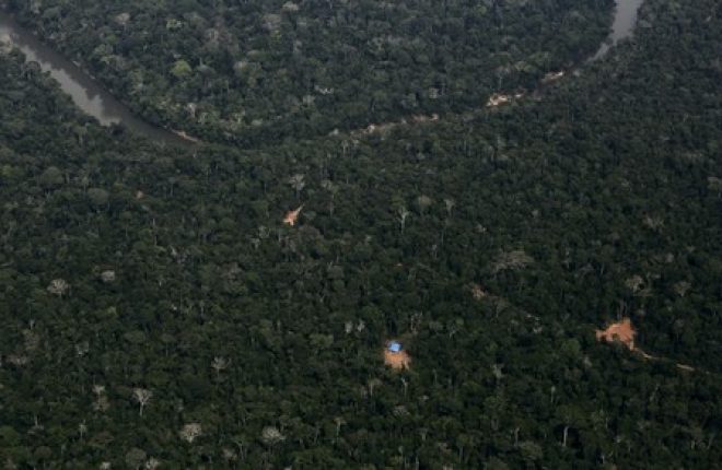 Imagem aérea da floresta amazônica