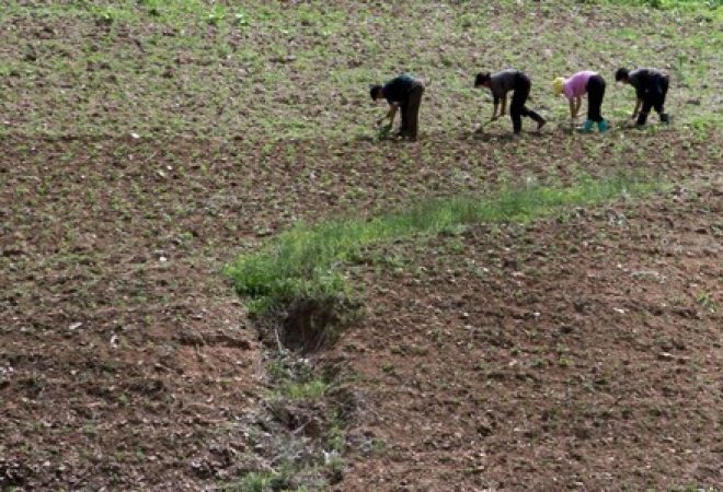 Fazenda em província norte-coreana de Phyongan do Norte