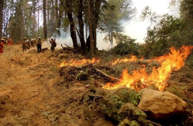 Bombeiros combatem incêndio florestal na Califórnia