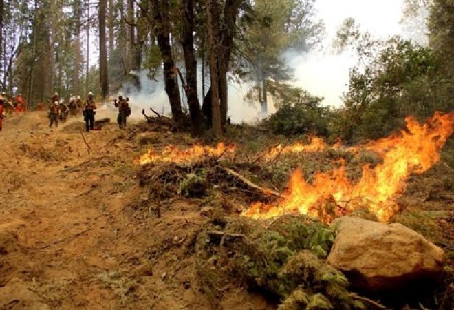 Bombeiros combatem incêndio florestal na Califórnia