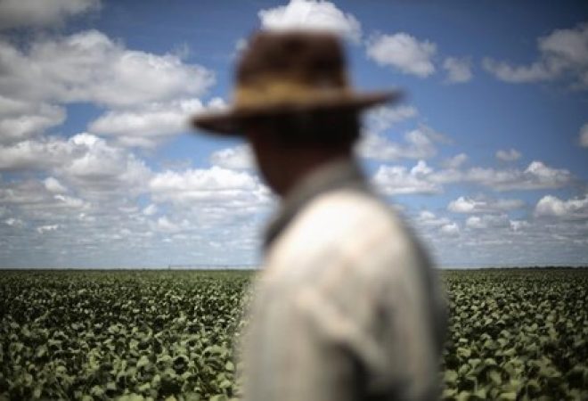 Produtor observa lavouras de soja em Barreiras, no Estado da Bahia, Brasil