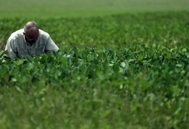 Engenheiro agrícola observa lavouras de soja em plantação perto de Pergamino, na Argentina