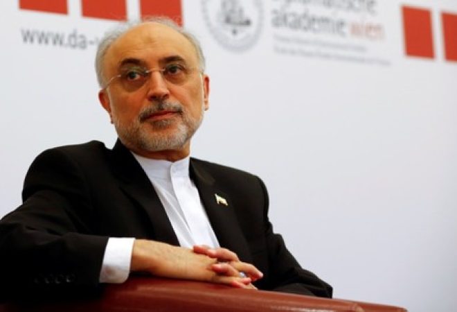 Ali Akbar Salehi, diretor da Organização de Energia Atômica do Irã
